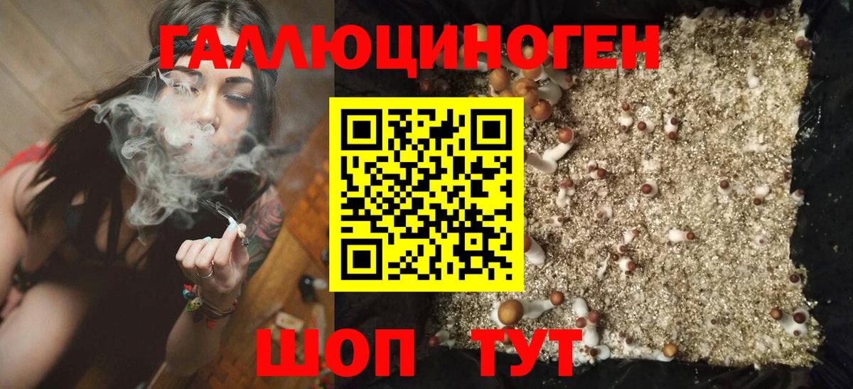 Псилоцибиновые грибы ЛСД Ялта