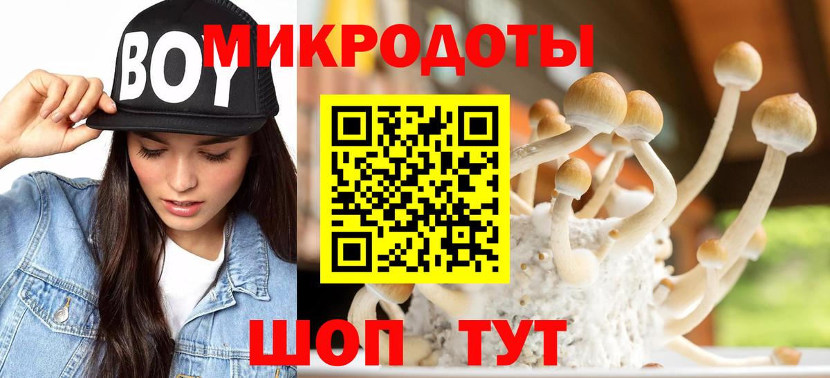 Псилоцибиновые грибы мухоморы  Вход с VPN  Галлюциногенные грибы Psilocybine cubensis  Ялта 
